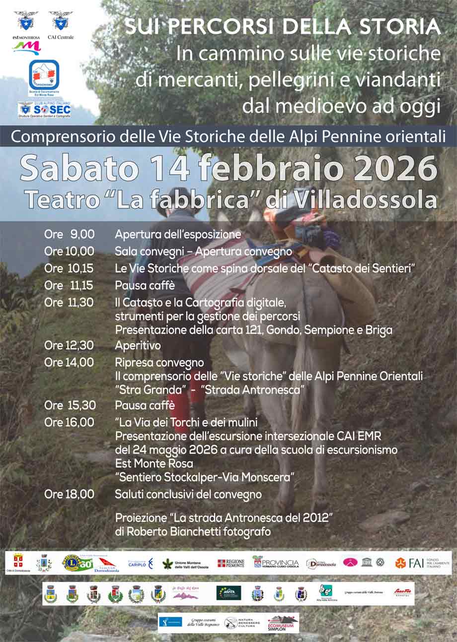 Locandina 14 02 2026